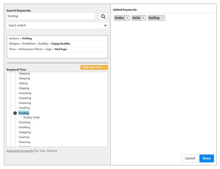 LightRocket thesaurus tagging tool.