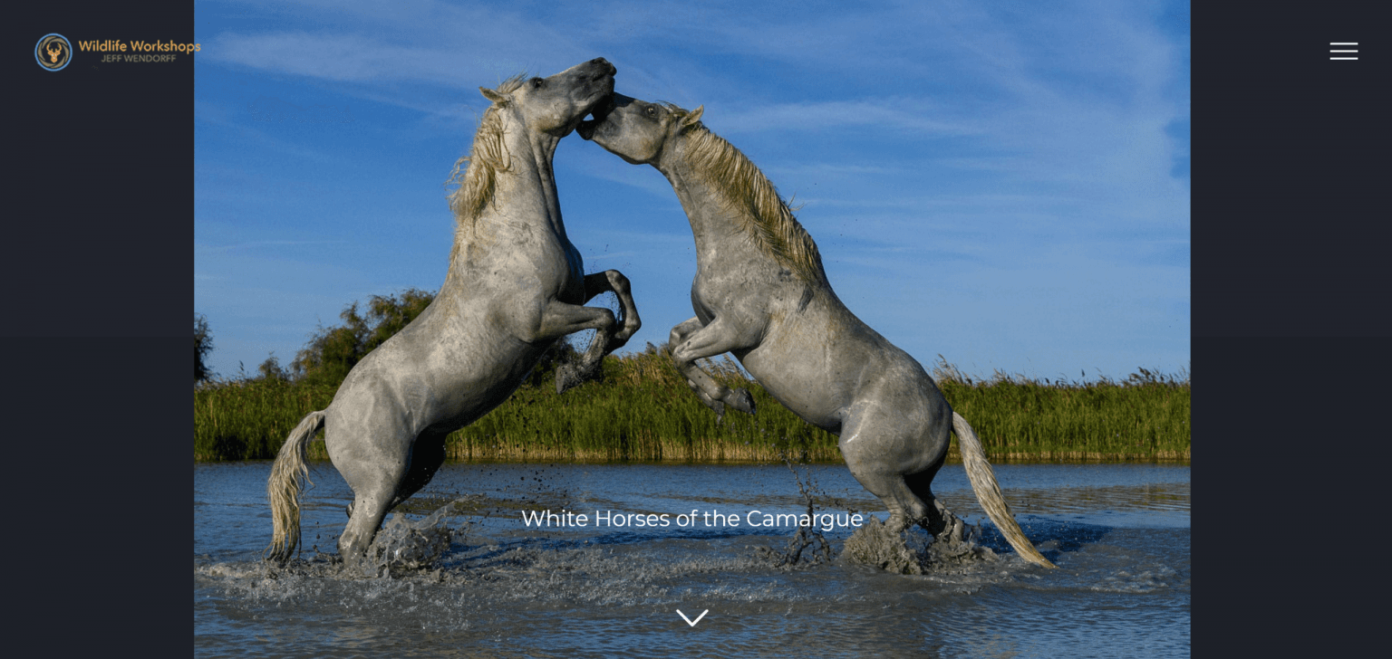 Jeff Wendorff Wildlife Workshops
