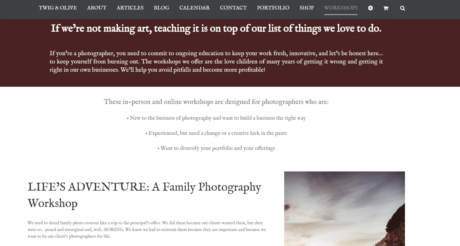 Twig and Olive: Family & Wedding Photography