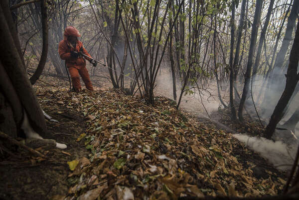 Forest fire in Val Susa in Celle, Italy
