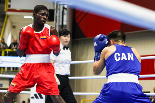 Boxing World Qualifying Tournament 2024 Italy